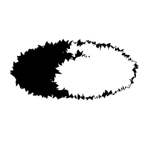 草の塊（葉がトゲトゲ）012