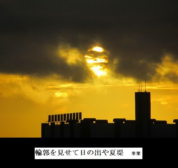 輪郭を見せて日の出や夏堤