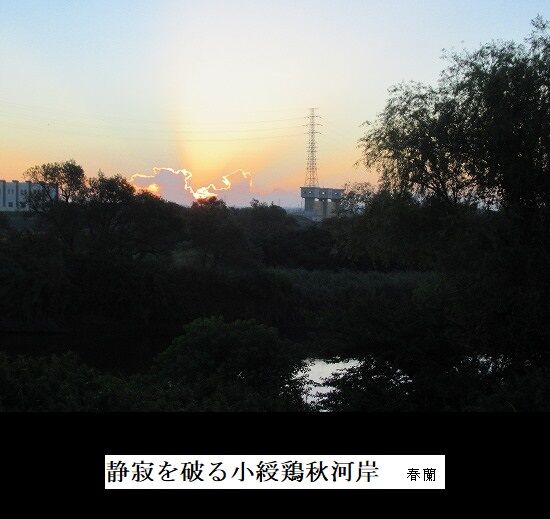 5-IMG_9793.jpg秋河岸