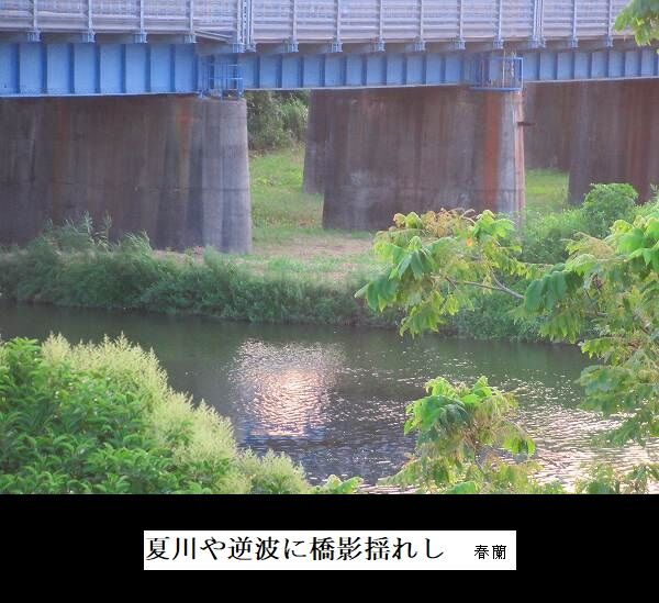 夏川や逆波に橋影揺れし