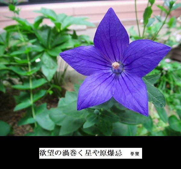 欲望の渦巻く星や原爆忌