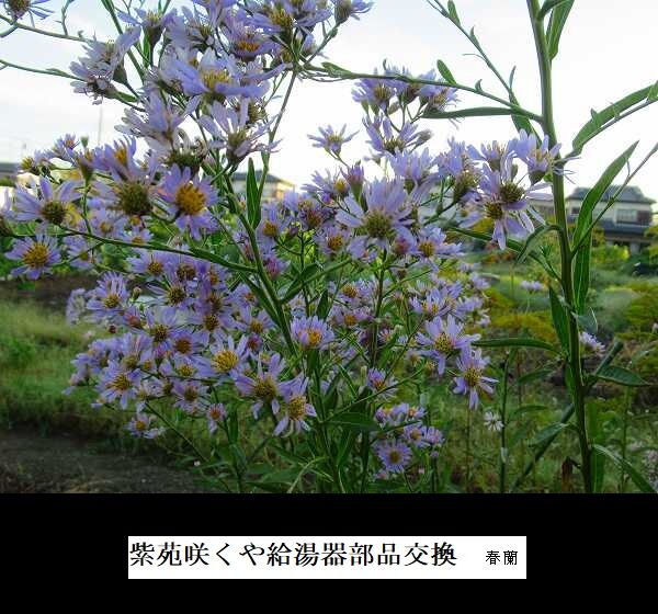 紫苑咲くや給湯器部品交換