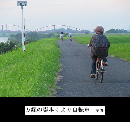 万緑の堤歩くより自転車