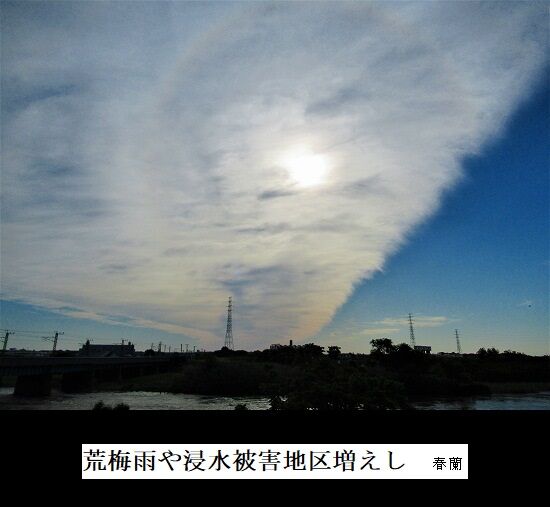 5-IMG_9292.jpgあれ梅雨¥2
