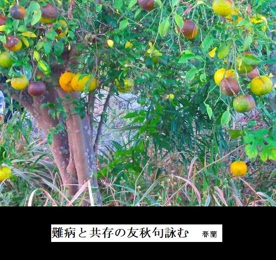 5-IMG_0039.jpg秋の句