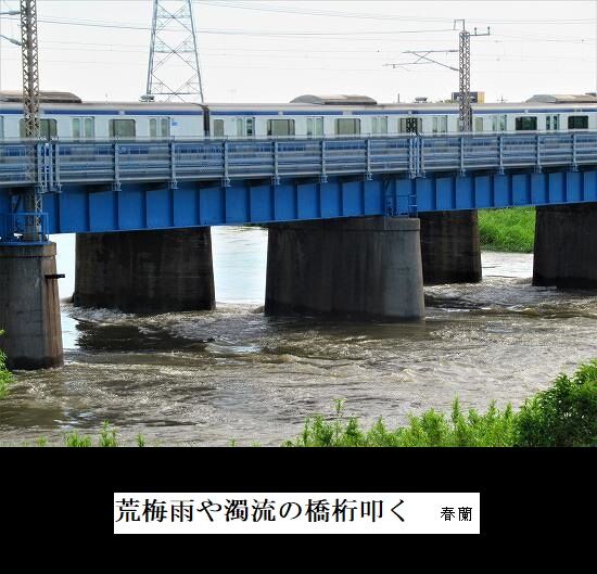 5-IMG_9290.jpg荒梅雨^1
