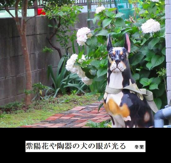 5-IMG_1075.jpgあじさいいー2陶器の犬