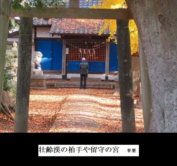 壮齢漢の柏手や留守の宮