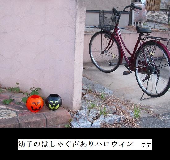 5-IMG_9935.jpgハロウィン