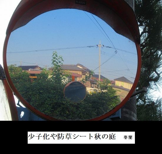 少子化や防草シート秋の庭