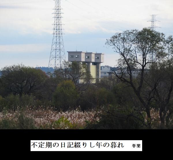 不定期の日記綴りし年の暮れ