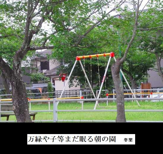 5-IMG_1094.jpg万緑