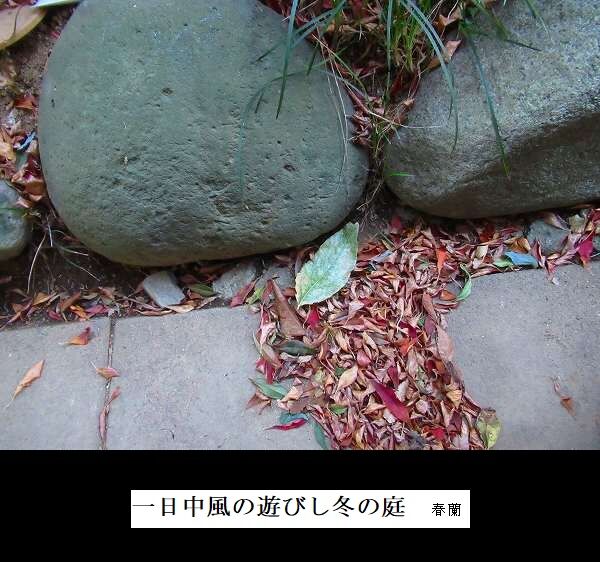 一日中風の遊びし冬の庭
