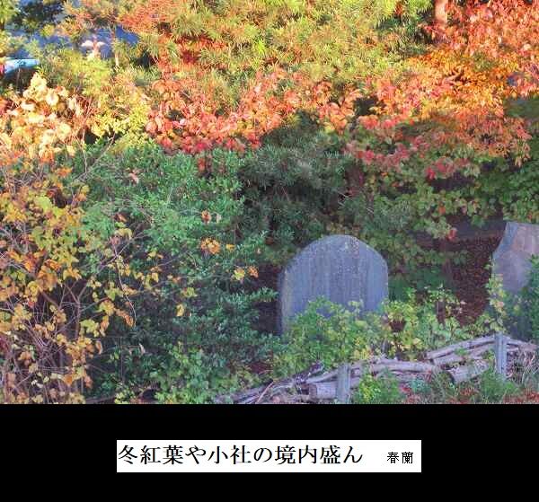 冬紅葉や小社の境内盛ん