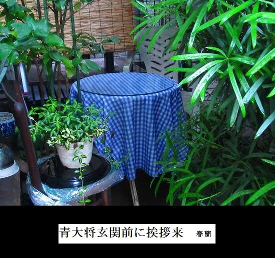 5-IMG_1126.jpg青大将