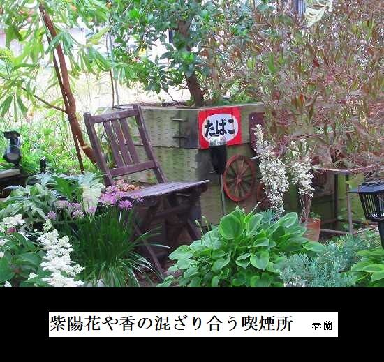 5-IMG_1092.jpg紫陽花ー4喫煙所