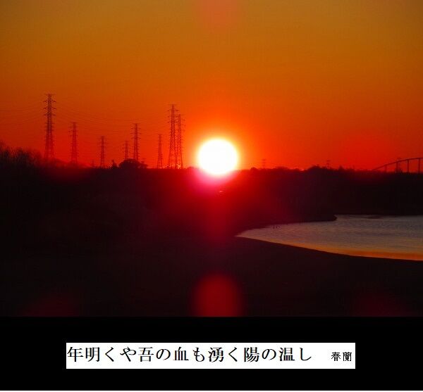 年明くや吾の血も湧く陽の温し