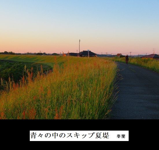 5-IMG_0910.jpg夏堤