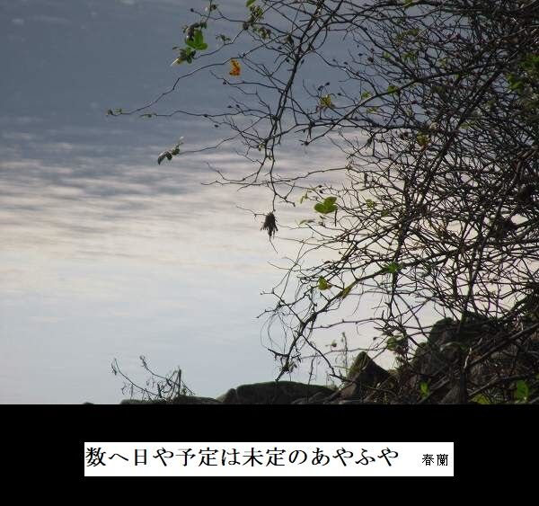 数へ日や予定は未定のあやふや