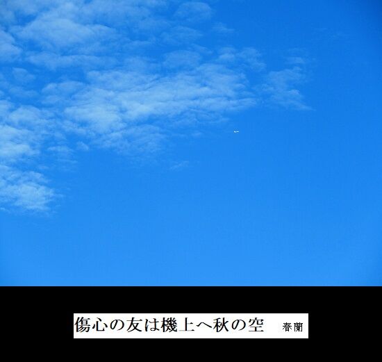 5-IMG_9786.jpg秋の空