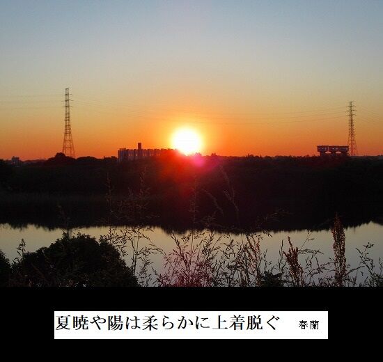 5-IMG_0907.jpg夏暁