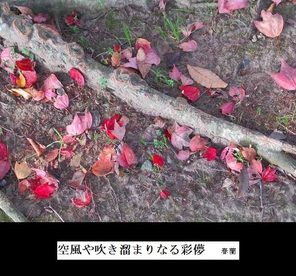 空風や吹き溜まりなる彩儚