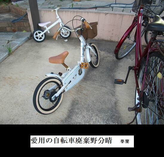 愛用の自転車廃棄野分晴