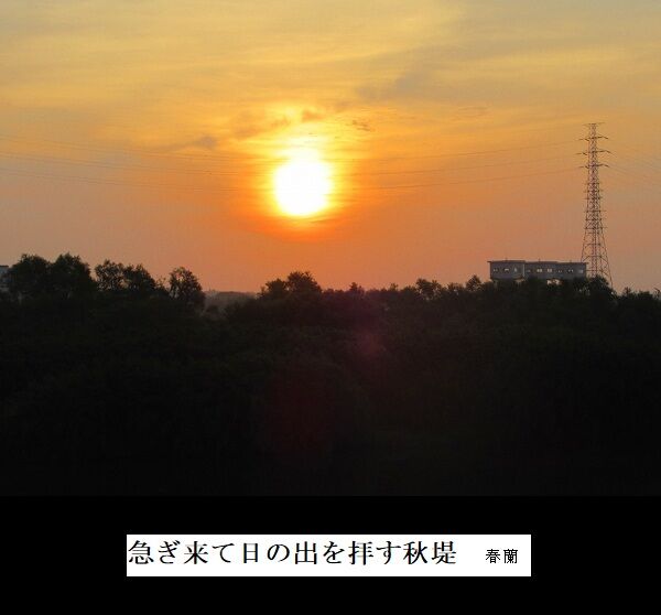 急ぎ来て日の出を拝す秋堤
