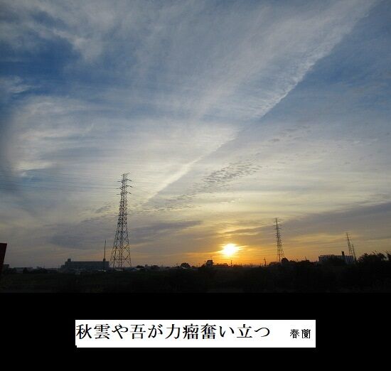 秋雲