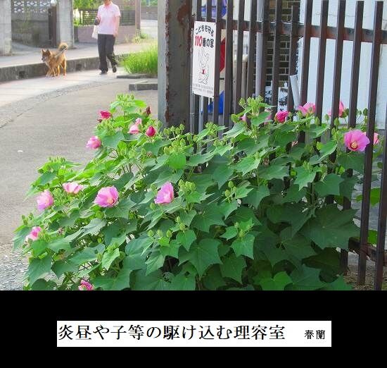 炎昼や子等の駆け込む理容室