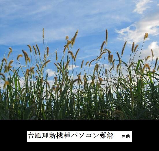 台風理新機種パソコン難解