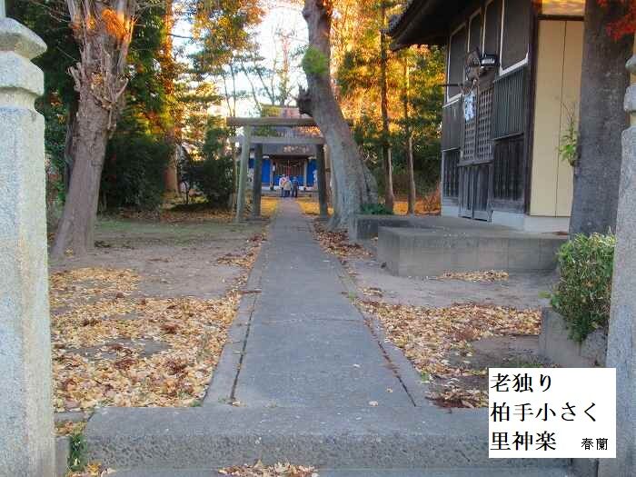 老独り柏手小さく里神楽