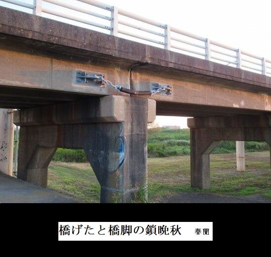 橋げたと橋脚の鎖晩秋