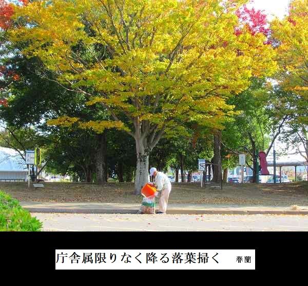 庁舎属限りなく降る落葉掃く