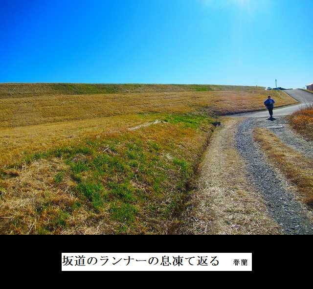 坂道のランナーの息凍て返る