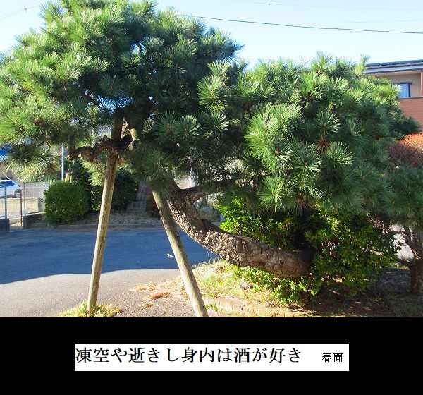 凍空や逝きし身内は酒が好き