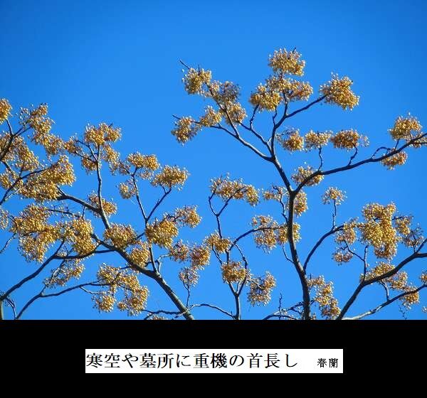 寒空や墓所に重機の首長し