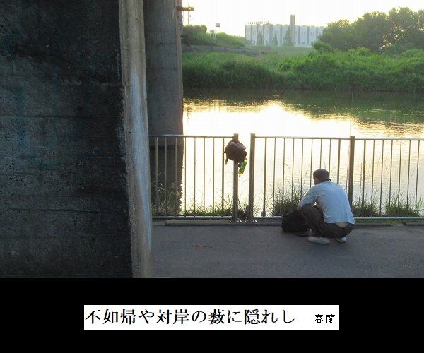 不如帰や対岸の薮に隠れし