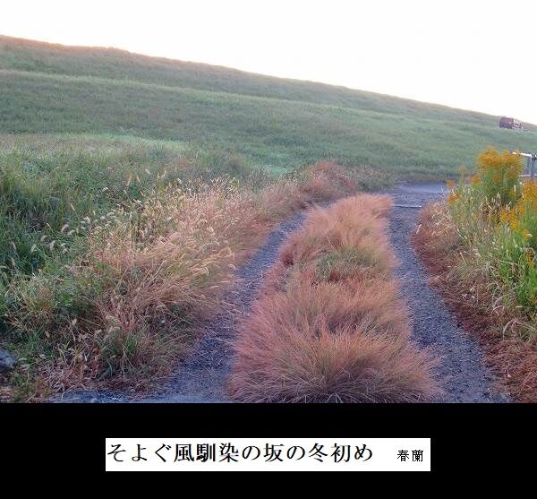 そよぐ風馴染の坂の冬初め