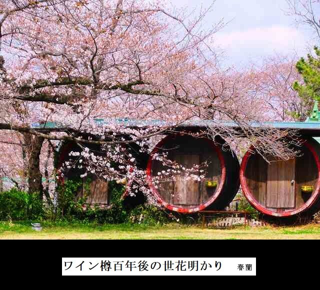 ワイン樽百年後の世花明かり