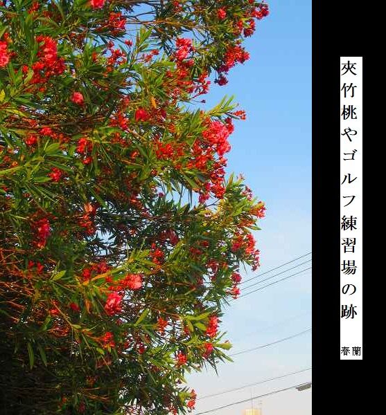 夾竹桃やゴルフ練習場の跡