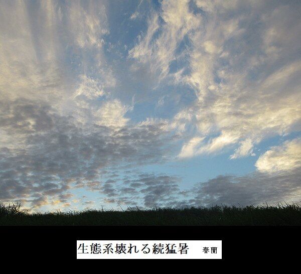 生態系壊れる続猛暑