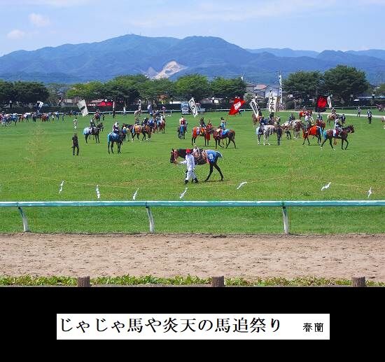 5-追い相馬野馬 030.jpgじゃじゃ馬や炎天の馬追祭り