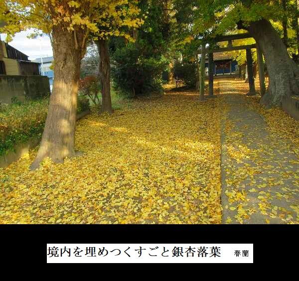 境内を埋めつくすごと銀杏落葉