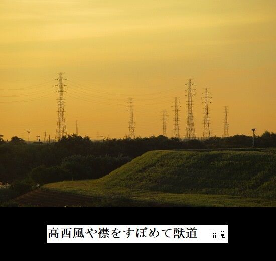 5-IMG_9907.jpg高西風(たかにし)