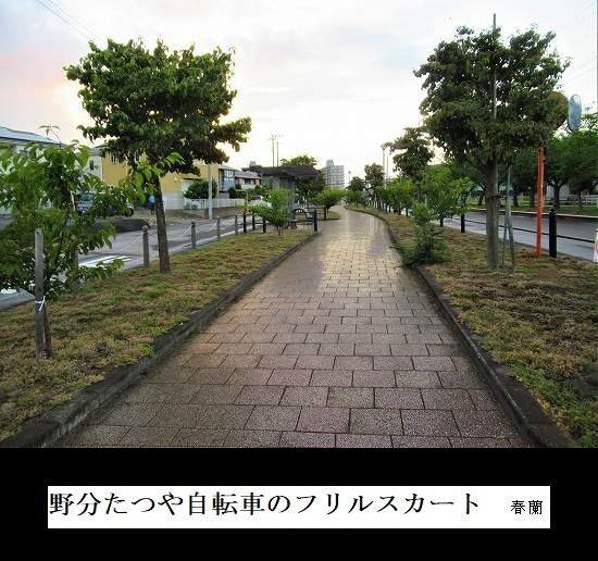 5-IMG_9736.jpg野分たつ