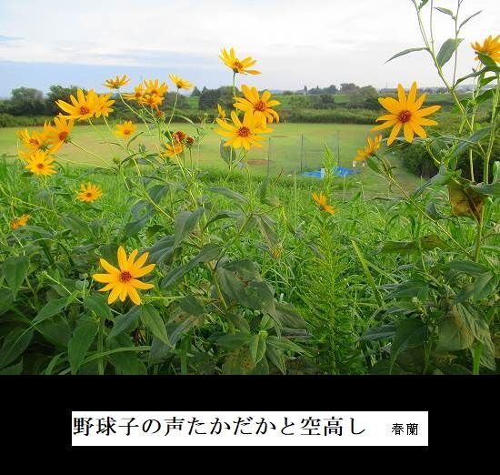5-IMG_9876.jpg空高し