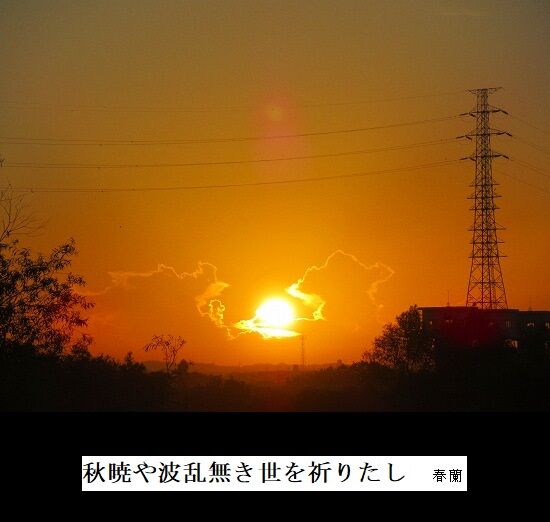 5-IMG_9799.jpg秋暁
