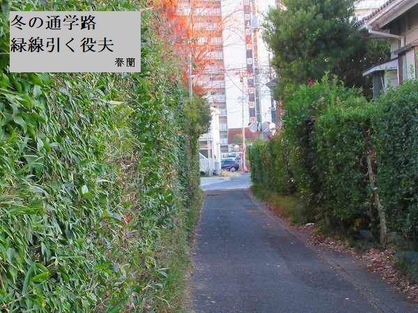 冬の通学路緑線引く役夫