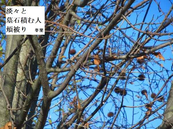 淡々と墓石積む人頬被り